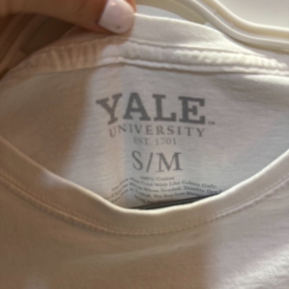 Yale Cropped Tee - Picture 2 of 2